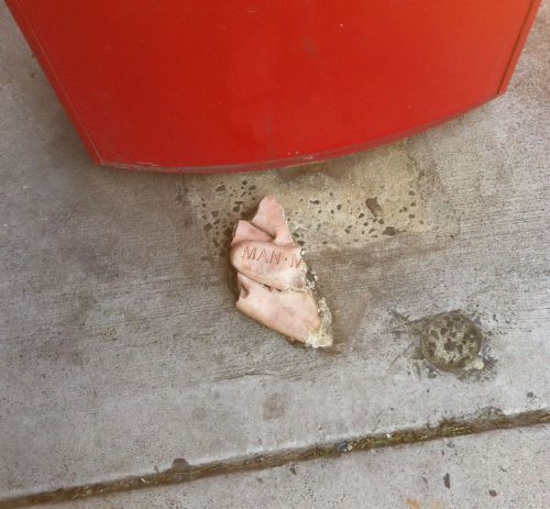 IMG_0846 - Version 2