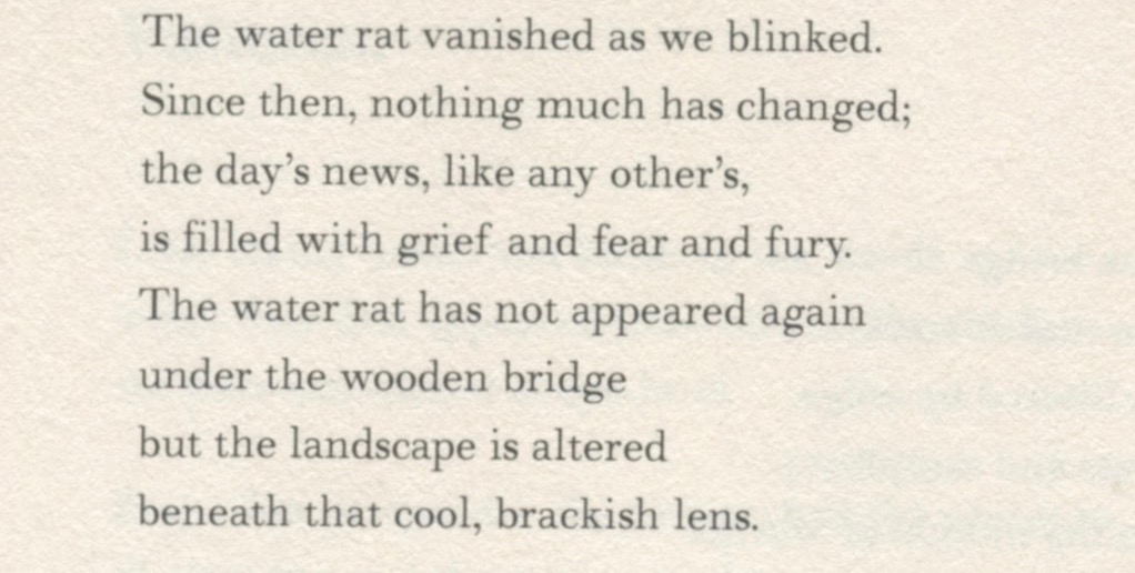 The water rat vanished as we blinked.
Since then, nothing much has changed;
the day's news, like any other's,
is filled with grief and fear and fury.
The water rat has not appeared again
under the wooden bridge
but the landscape is altered
beneath that cool, brackish lens.